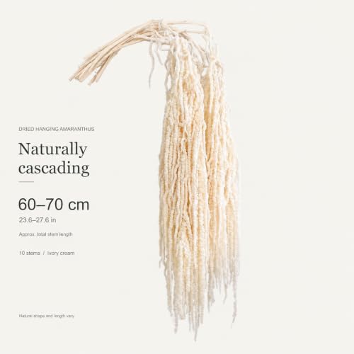 10 Pcs Ivory Dried Hanging Amaranthus Wedding Arch Decor - 23 Inches