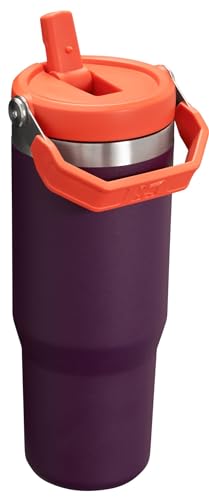 Stanley IceFlow Flip Straw Tumbler with Handle 30 oz | Twist On Lid and Flip Up Straw | Leak Resistant Water Bottle | Insulated Stainless Steel |BPA-Free | Plum