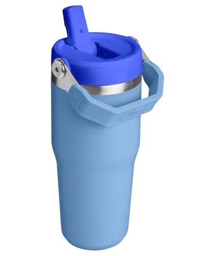 STANLEY IceFlow 2.0 Flip Straw Tumbler with Handle 14 oz | Twist On Lid and Flip Up Straw | Leakproof Water Bottle | Insulated Stainless Steel | BPA-Free | Blue Sky