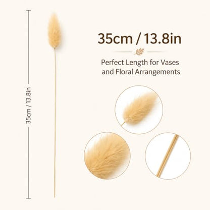 Natural Bunny Tail Grass Decor - 120 PCS Pampas for Vase Arrangements