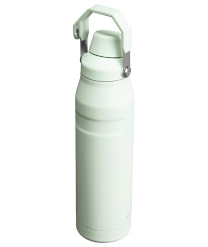 Stanley IceFlow Fast Flow Water Bottle 16 oz | Angled Spout Lid | Lightweight and Leakproof for Travel and Sports | Insulated Stainless Steel | BPA-Free |Tigerlily