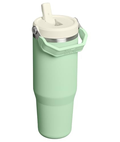 STANLEY IceFlow 2.0 Flip Straw Tumbler with Handle 30 oz | Twist On Lid and Flip Up Straw | Leak Resistant Water Bottle | Insulated Stainless Steel | BPA-Free | Pistachio