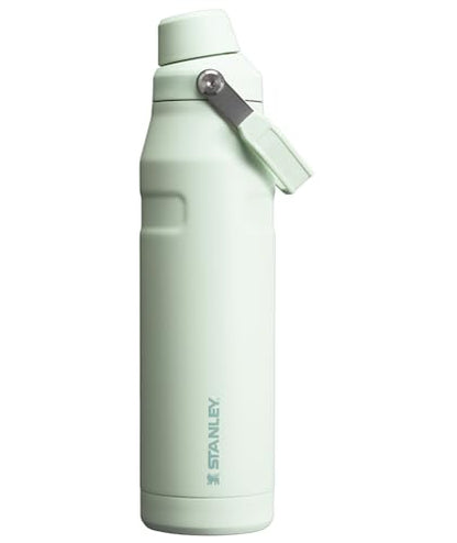 Stanley IceFlow Fast Flow Water Bottle 16 oz | Angled Spout Lid | Lightweight and Leakproof for Travel and Sports | Insulated Stainless Steel | BPA-Free |Tigerlily