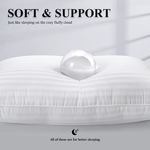 Queen Size Bed Pillows Set of 2 - White, Support & Comfort