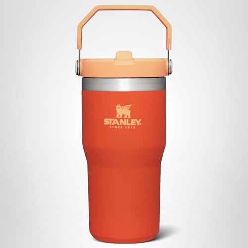 Stanley IceFlow Flip Straw Tumbler with Handle 20 oz | Twist On Lid and Flip Up Straw | Leak Resistant Water Bottle | Insulated Stainless Steel |BPA-Free | Tigerlily