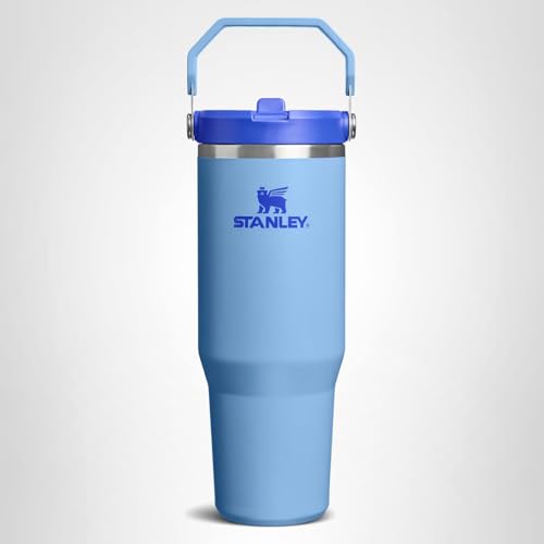 STANLEY IceFlow 2.0 Flip Straw Tumbler with Handle 14 oz | Twist On Lid and Flip Up Straw | Leakproof Water Bottle | Insulated Stainless Steel | BPA-Free | Blue Sky
