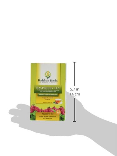 Pure Red Raspberry Leaf Tea (Pack of 2, 44 Tea Bags) - Caffeine Free Tea Bags for Pregnancy Support, Male Health, or Kids - Organic Herbal Tea Bags w/ Vital Nutrients - Ideal Tea Gifts for Tea Lovers