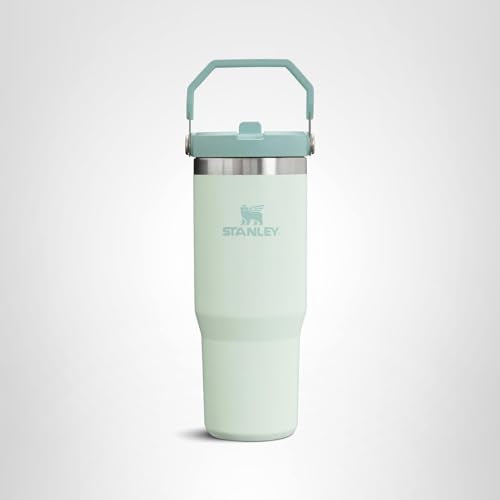 STANLEY IceFlow Flip Straw Tumbler with Handle 30 oz | Twist On Lid and Flip Up Straw | Leak Resistant Water Bottle | Insulated Stainless Steel |BPA-Free | Mist