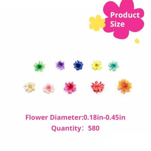 580Pcs Mini Dried Flowers for Resin - Small Pressed Flowers for DIY Crafts - Vibrant Colors