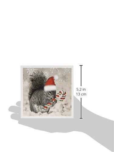 Christmas Squirrel Greeting Card with Envelope - Holiday Winter Scene