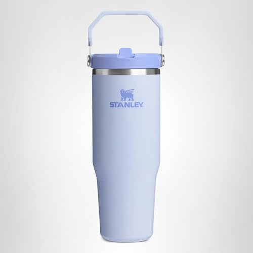 STANLEY IceFlow 2.0 Flip Straw Tumbler with Handle 30 oz | Twist On Lid and Flip Up Straw | Leak Resistant Water Bottle | Insulated Stainless Steel | BPA-Free | Dew Drop