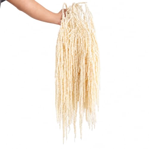 10 Pcs Ivory Dried Hanging Amaranthus Wedding Arch Decor - 23 Inches