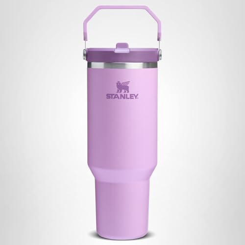 Stanley IceFlow 2.0 Flip Straw Tumbler with Handle 20 oz | Twist On Lid and Flip Up Straw | Leak Resistant Water Bottle | Insulated Stainless Steel | BPA-Free | Lilac