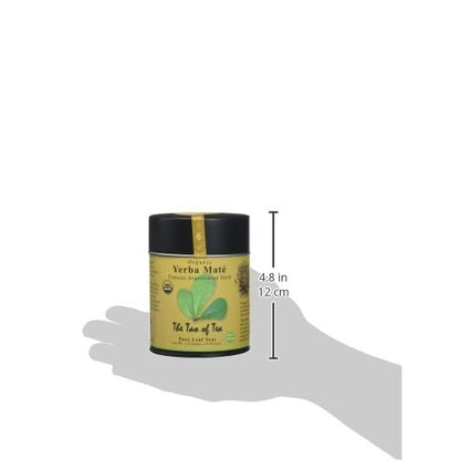 Febreze Eureka Ef-6 Replacement Vacuum Filter