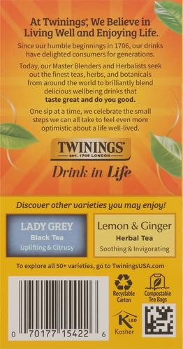 Twinings Earl Grey Black Tea Individually Wrapped Bags, 20 Count (Pack of 2), Flavoured with Citrus and Bergamot, Caffeinated, Enjoy Hot or Iced, 20 Teabags