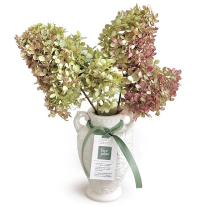 Dried Hydrangea Flowers Set - Large Natural Preserved Blooms for Wreaths & Decor