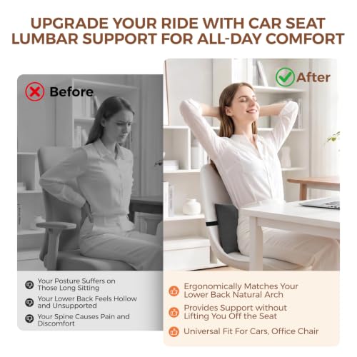 Lumbar Support Pillow for Car & Office Back Cushion Lower Back Pain Relief
