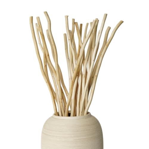 Natural Dried Willow Branches for Vases - 20 Stems, Rustic Home Decor