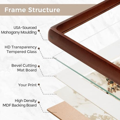 Mahogany Picture Frame Set 12x16 - USA-Sourced Hardwood Wall Photo Frames - Set of 2
