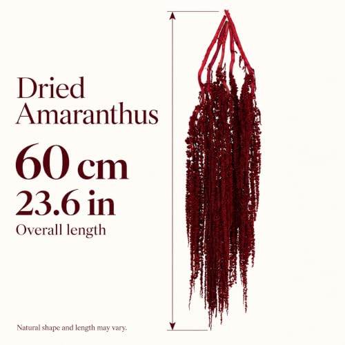 10 Pcs Dried Burgundy Amaranthus Stems for Wedding Arch Decor - 23 Inch