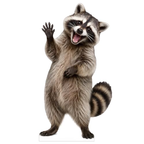 Funny Raccoon Life Size Cardboard Cutout Standee - 1FT Mini