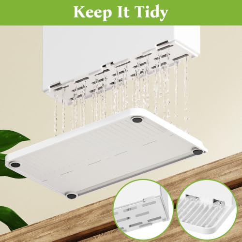 PARKMANI White Toothbrush Holder with Cover and Drainage for Bathroom