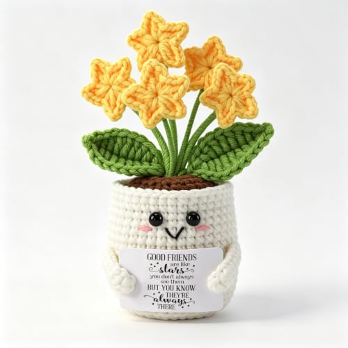 Bestie Crochet Star Flower Pot - Friendship Gift for Women