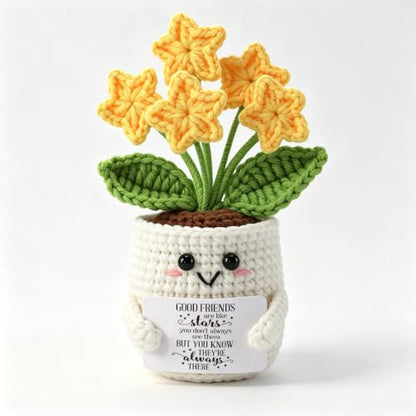 Bestie Crochet Star Flower Pot - Friendship Gift for Women