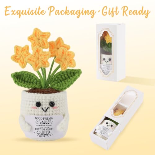 Bestie Crochet Star Flower Pot - Friendship Gift for Women