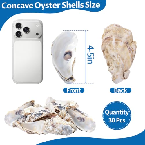 30PCS 4-5 Inch Concave Oyster Shells for Crafts, Natural and Large