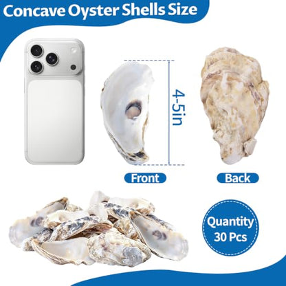 30PCS 4-5 Inch Concave Oyster Shells for Crafts, Natural and Large