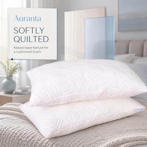 Queen Size Set of 2 Shredded Memory Foam Pillows - White, U.S. Standard