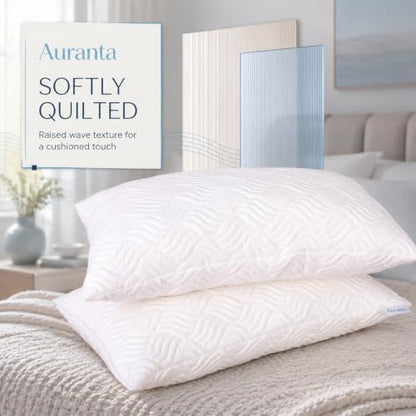 Queen Size Set of 2 Shredded Memory Foam Pillows - White, U.S. Standard