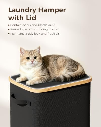 100L Laundry Hamper with Lid Black - Large Clothes Storage Bin with Removable Bag & Foot Loop
