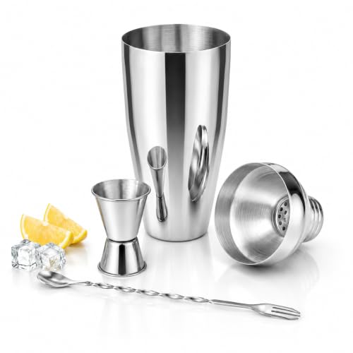 24 oz Stainless Steel Cocktail Shaker Set with Bar Tools & Guide
