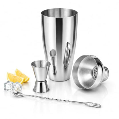 24 oz Stainless Steel Cocktail Shaker Set with Bar Tools & Guide