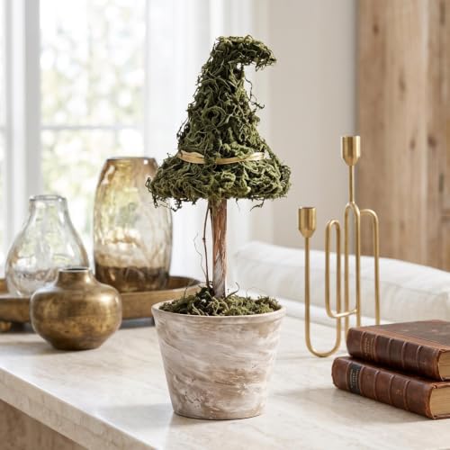 Halloween Witch Hat Moss Topiary Tree with Pot - Indoor Seasonal Decor
