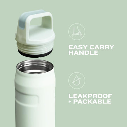 Stanley IceFlow Water Bottle - Insulated Stainless Steel | Lightweight & Leakproof | Wide Mouth Twist Lid