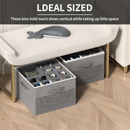Aokeyee Shoe Organizer for Closet,Foldable Shoe Storage Organizer Box Bin with Adjustable Dividers and Clear Cover, Fits up to 16 Pairs
