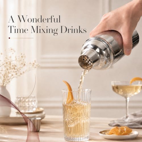 24 oz Stainless Steel Cocktail Shaker Set with Bar Tools & Guide