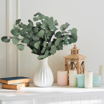 Preserved Eucalyptus Stems 20PCS - Silver Dollar Leaves for Wedding & Home Decor (Green Style 02)