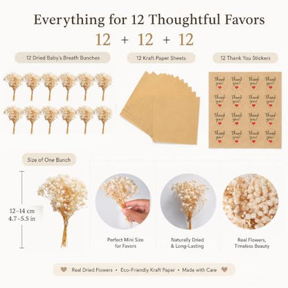 Mini Dried Baby’s Breath Flower Favors Kit with Wraps & Stickers - 12 Sets