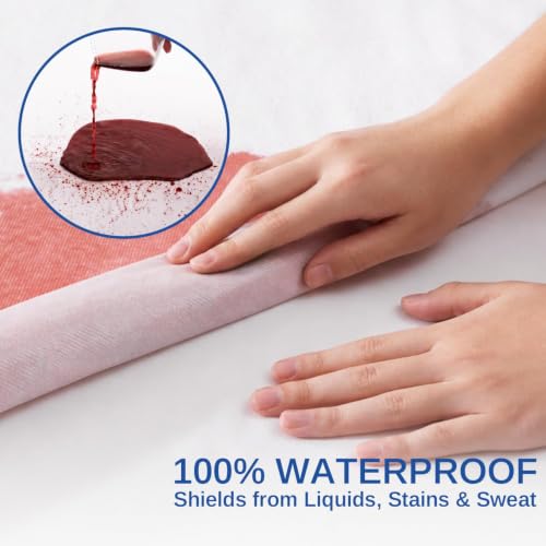 Queen Waterproof Mattress Protector Fitted Sheet with Terry Cover - White, 1 Pack
