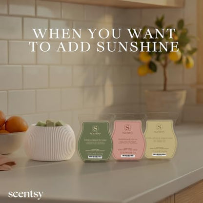 Sunlit Citrus Wax Melts Set - 3 Varieties for Home Fragrance