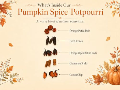 Pumpkin Spice Potpourri Bag - Fall Decor & Fragrance 2 Cup