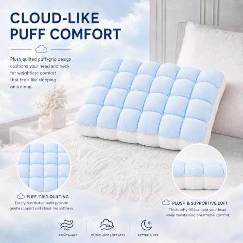 Cooling Pillow for Sleeping with Ice Silk Cover - Blue, 19.7 x 27.6 Inch