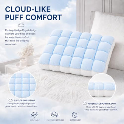 Cooling Pillow for Sleeping with Ice Silk Cover - Blue, 19.7 x 27.6 Inch