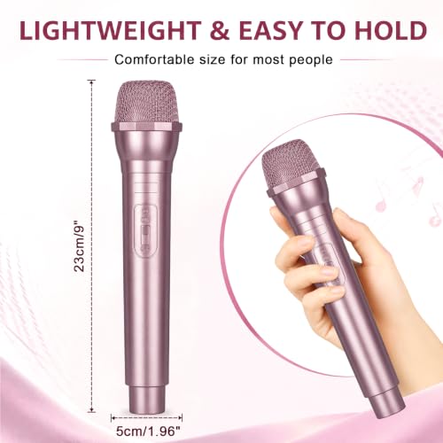 Fake Microphone Props Rose Gold 2 Pack Costume Stage Party Accessories