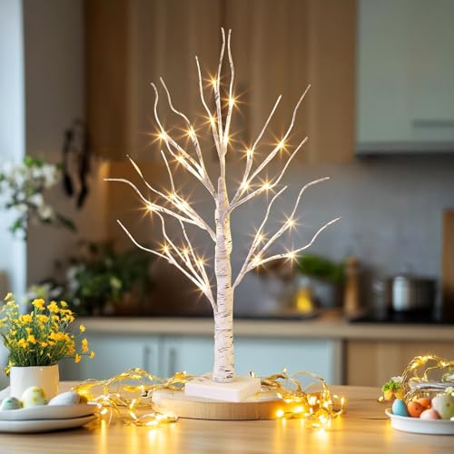 Lighted Birch Tree Christmas Decorations - 2FT Mini LED Tree with Timer, Indoor Table Centerpiece