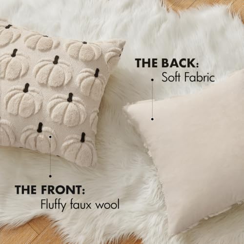 MIULEE Fall Pumpkin Pillow Covers Set of 2 - 18x18 Inch Beige Decor